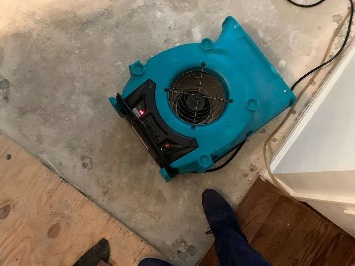 Air mover drying subfloor during Leak Detection & Repair in Redmond